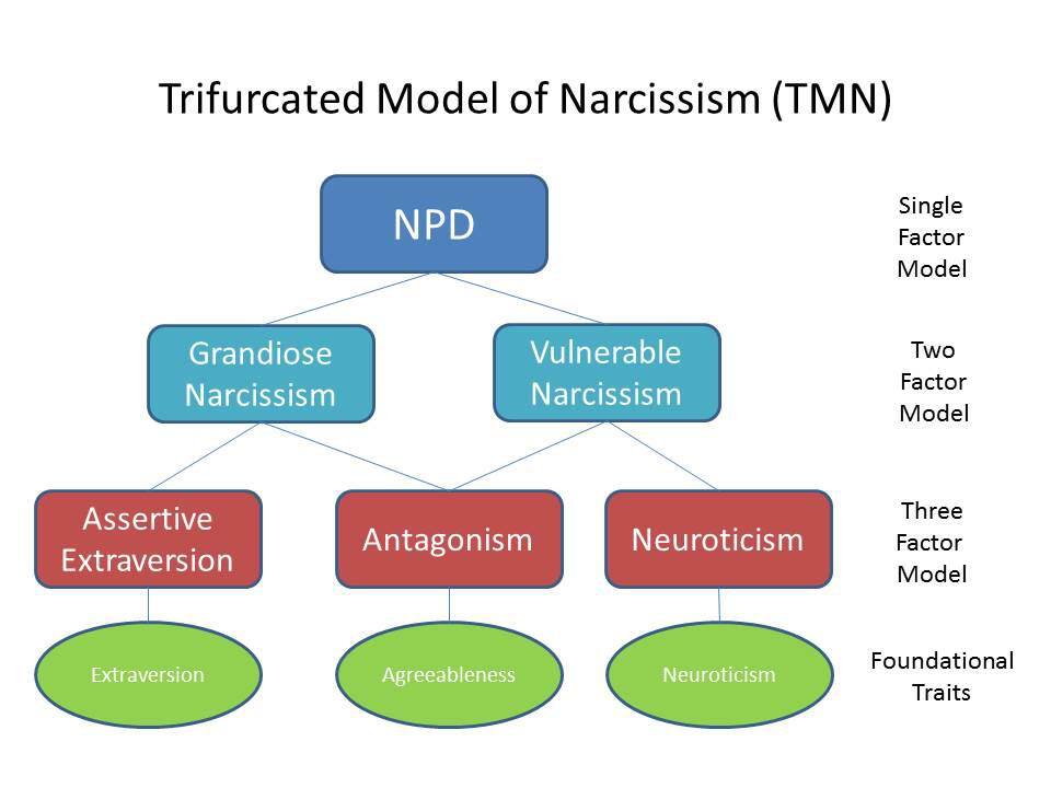 5 Types Of Narcissism And The Characteristics Of Each